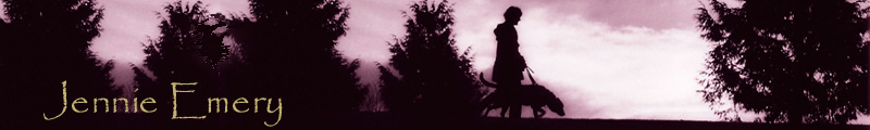 Graphic of Jennie and her guide dog Joya walking through the woods at sunset